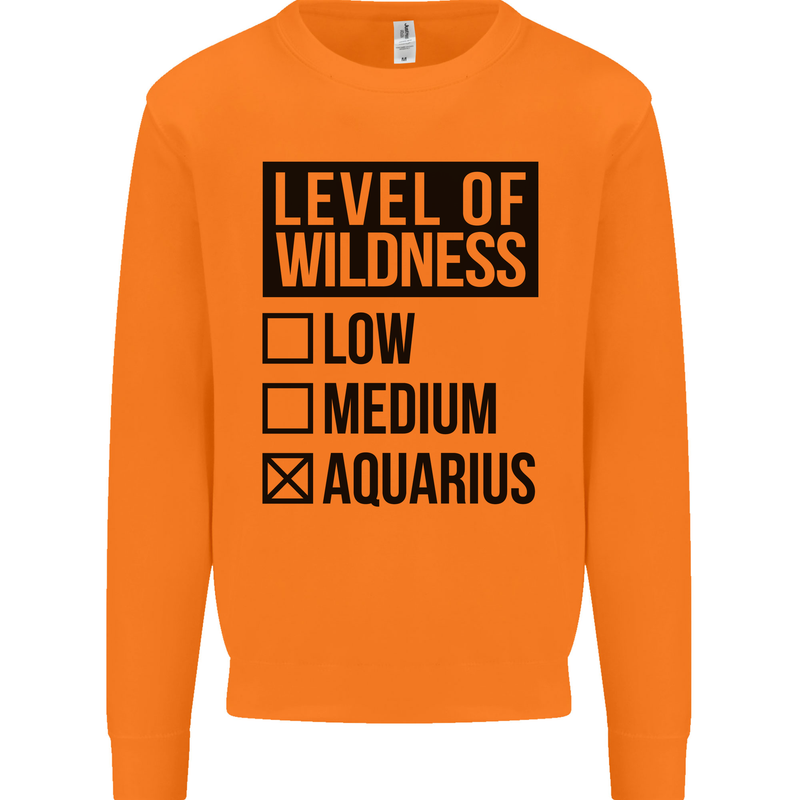 Levels of Wildness Aquarius Mens Sweatshirt Jumper Orange