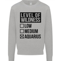 Levels of Wildness Aquarius Mens Sweatshirt Jumper Sports Grey