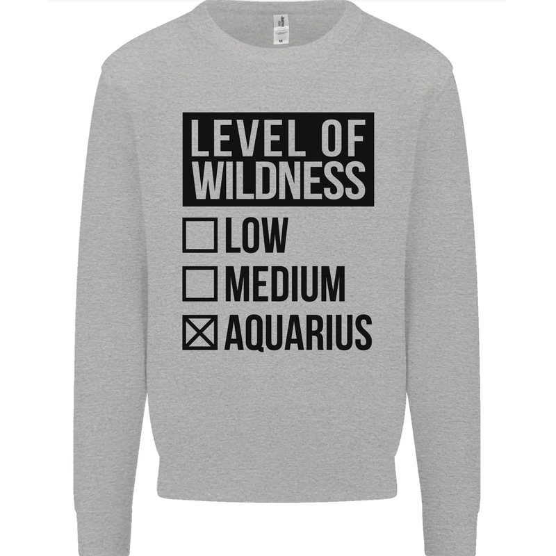 Levels of Wildness Aquarius Mens Sweatshirt Jumper Sports Grey