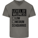 Levels of Wildness Aquarius Mens V-Neck Cotton T-Shirt Charcoal