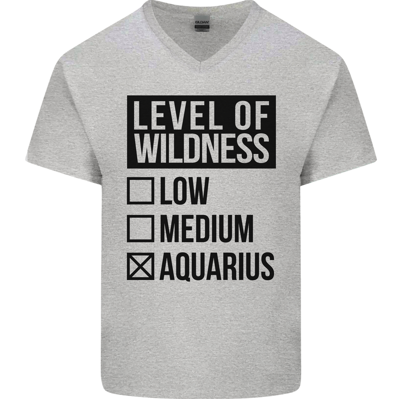 Levels of Wildness Aquarius Mens V-Neck Cotton T-Shirt Sports Grey