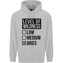 Levels of Wildness Aries Childrens Kids Hoodie Sports Grey