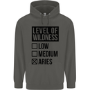 Levels of Wildness Aries Childrens Kids Hoodie Storm Grey