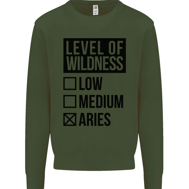 Levels of Wildness Aries Kids Sweatshirt Jumper Forest Green