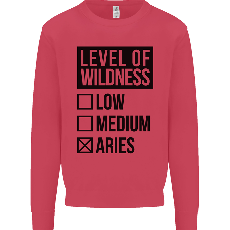Levels of Wildness Aries Kids Sweatshirt Jumper Heliconia