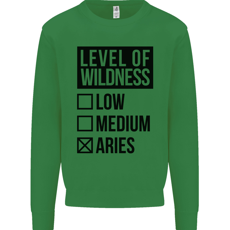 Levels of Wildness Aries Kids Sweatshirt Jumper Irish Green