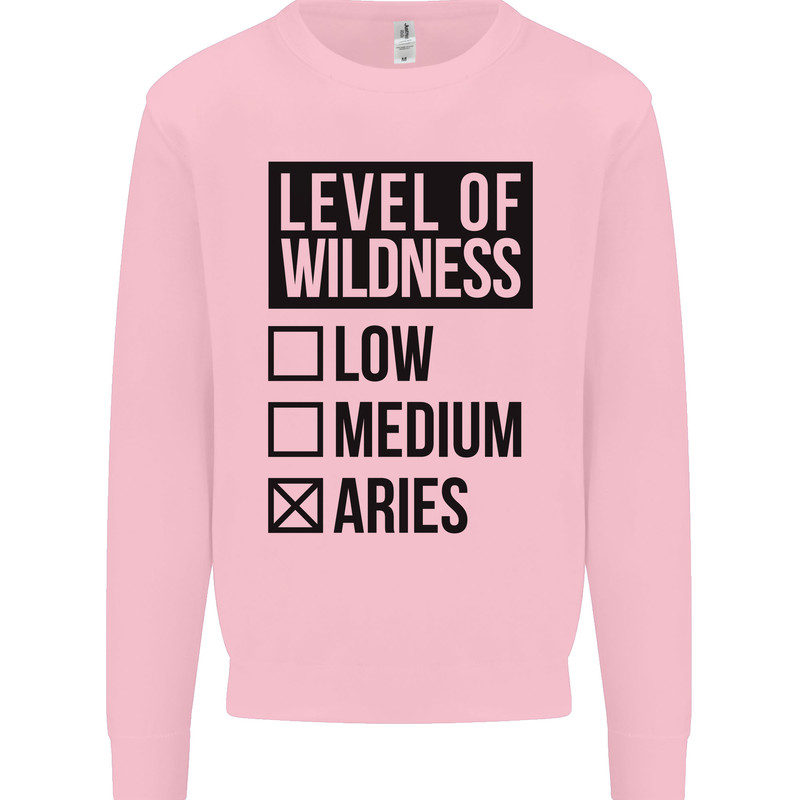 Levels of Wildness Aries Kids Sweatshirt Jumper Light Pink