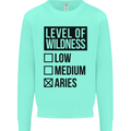 Levels of Wildness Aries Kids Sweatshirt Jumper Peppermint