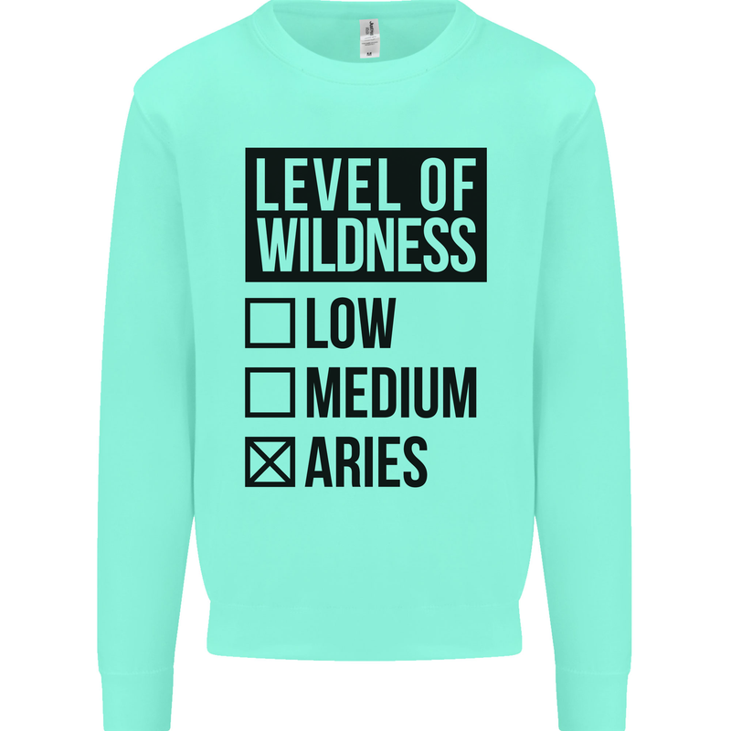 Levels of Wildness Aries Kids Sweatshirt Jumper Peppermint
