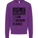 Levels of Wildness Aries Kids Sweatshirt Jumper Purple