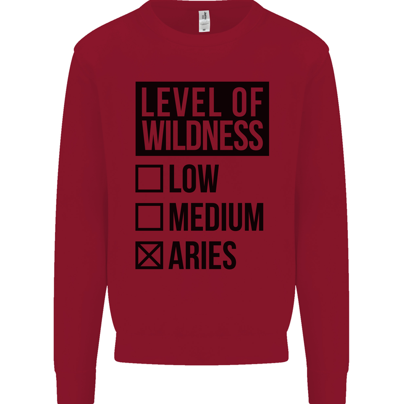 Levels of Wildness Aries Kids Sweatshirt Jumper Red