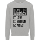 Levels of Wildness Aries Kids Sweatshirt Jumper Sports Grey