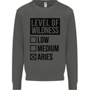 Levels of Wildness Aries Kids Sweatshirt Jumper Storm Grey