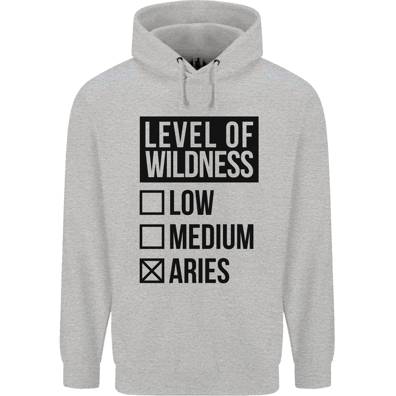 Levels of Wildness Aries Mens 80% Cotton Hoodie Sports Grey