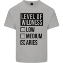 Levels of Wildness Aries Mens Cotton T-Shirt Tee Top Sports Grey