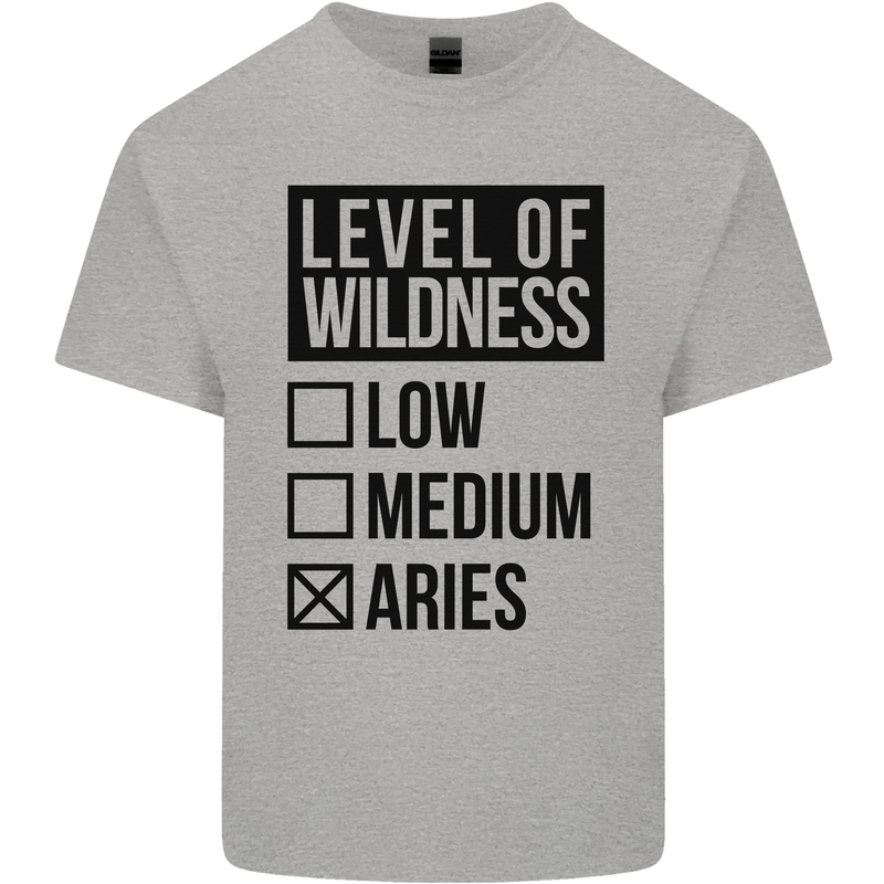 Levels of Wildness Aries Mens Cotton T-Shirt Tee Top Sports Grey