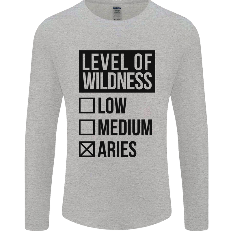 Levels of Wildness Aries Mens Long Sleeve T-Shirt Sports Grey