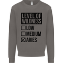 Levels of Wildness Aries Mens Sweatshirt Jumper Charcoal