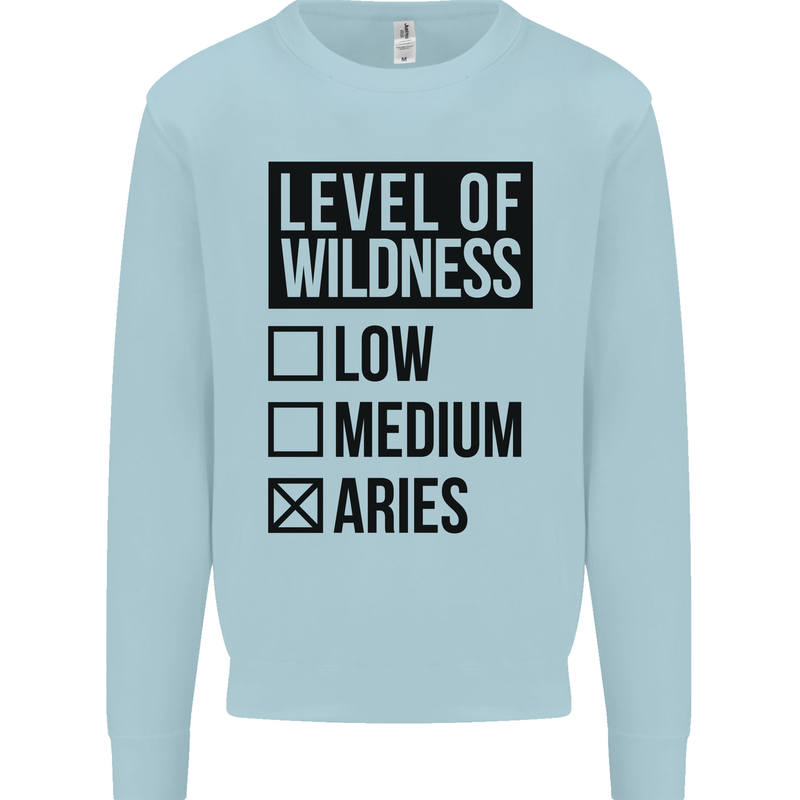 Levels of Wildness Aries Mens Sweatshirt Jumper Light Blue