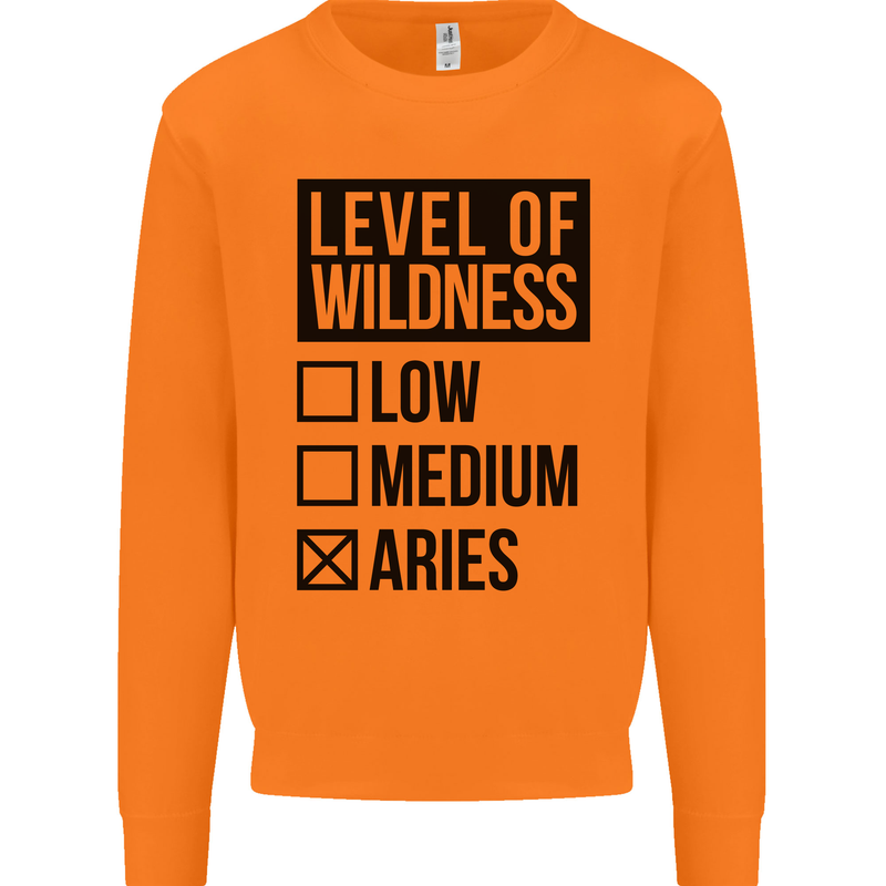 Levels of Wildness Aries Mens Sweatshirt Jumper Orange