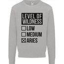 Levels of Wildness Aries Mens Sweatshirt Jumper Sports Grey
