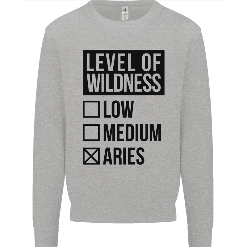Levels of Wildness Aries Mens Sweatshirt Jumper Sports Grey