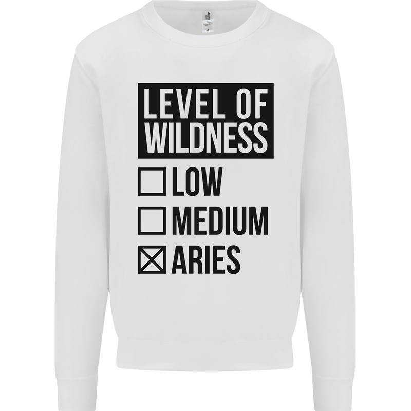 Levels of Wildness Aries Mens Sweatshirt Jumper White