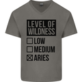 Levels of Wildness Aries Mens V-Neck Cotton T-Shirt Charcoal