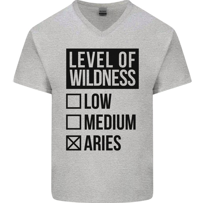 Levels of Wildness Aries Mens V-Neck Cotton T-Shirt Sports Grey