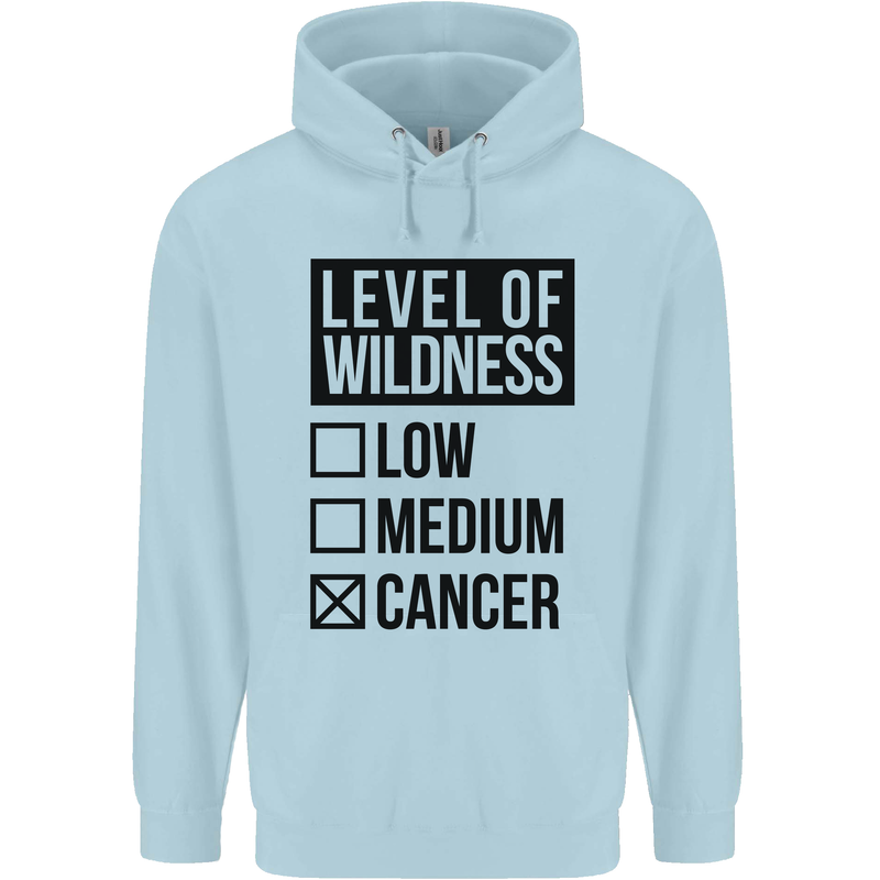 Levels of Wildness Cancer Childrens Kids Hoodie Light Blue