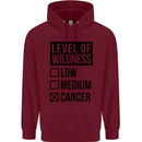 Levels of Wildness Cancer Childrens Kids Hoodie Maroon