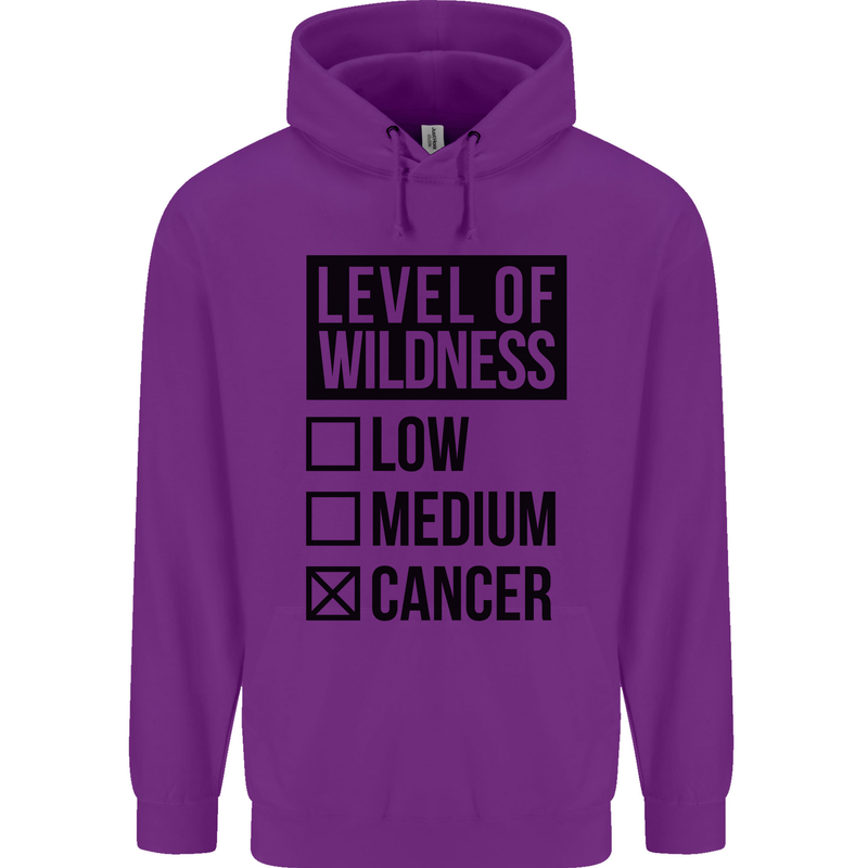 Levels of Wildness Cancer Childrens Kids Hoodie Purple