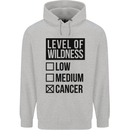 Levels of Wildness Cancer Childrens Kids Hoodie Sports Grey