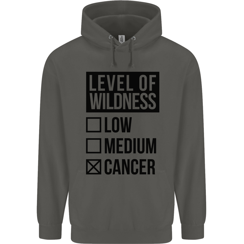 Levels of Wildness Cancer Childrens Kids Hoodie Storm Grey