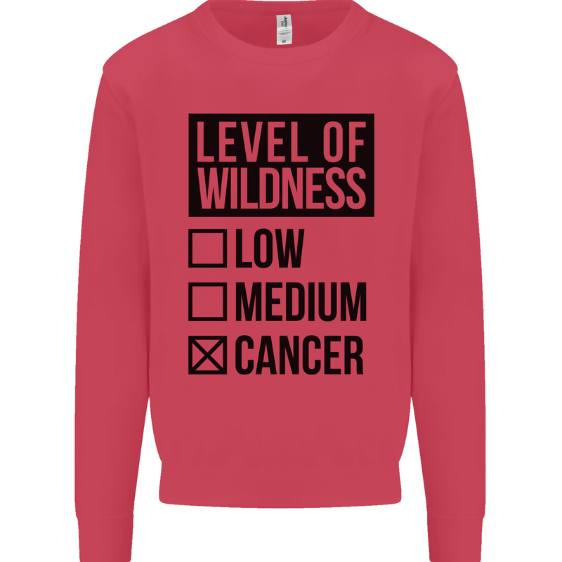 Levels of Wildness Cancer Kids Sweatshirt Jumper Heliconia