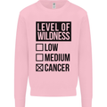 Levels of Wildness Cancer Kids Sweatshirt Jumper Light Pink