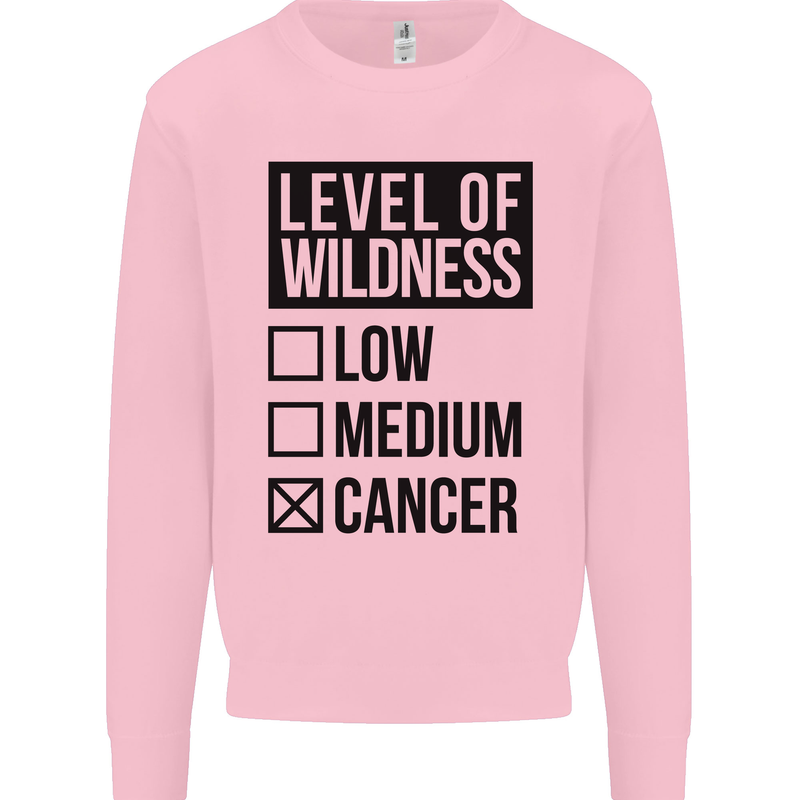 Levels of Wildness Cancer Kids Sweatshirt Jumper Light Pink