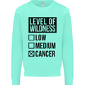 Levels of Wildness Cancer Kids Sweatshirt Jumper Peppermint