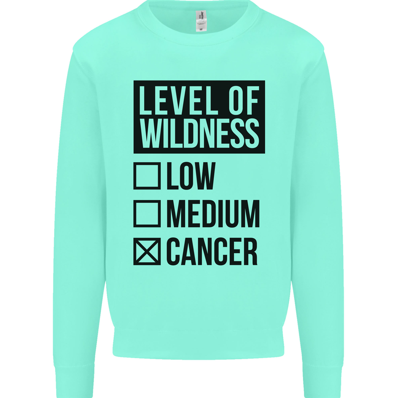 Levels of Wildness Cancer Kids Sweatshirt Jumper Peppermint