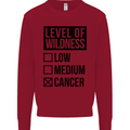 Levels of Wildness Cancer Kids Sweatshirt Jumper Red