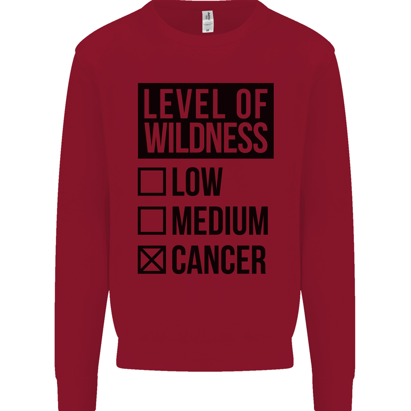 Levels of Wildness Cancer Kids Sweatshirt Jumper Red