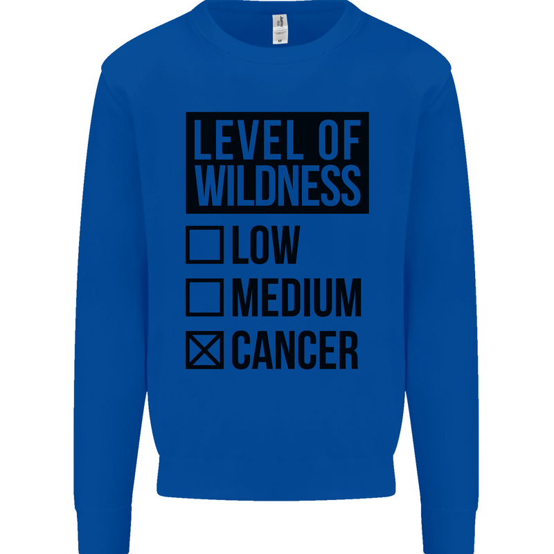 Levels of Wildness Cancer Kids Sweatshirt Jumper Royal Blue