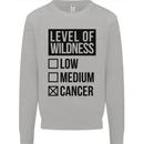 Levels of Wildness Cancer Kids Sweatshirt Jumper Sports Grey