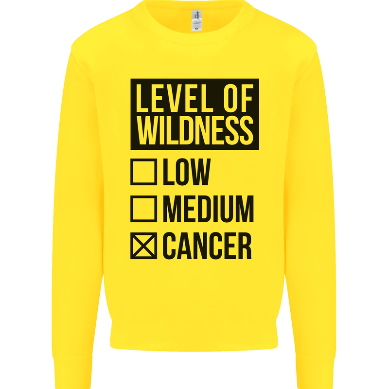 Levels of Wildness Cancer Kids Sweatshirt Jumper Yellow