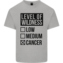 Levels of Wildness Cancer Kids T-Shirt Childrens Sports Grey