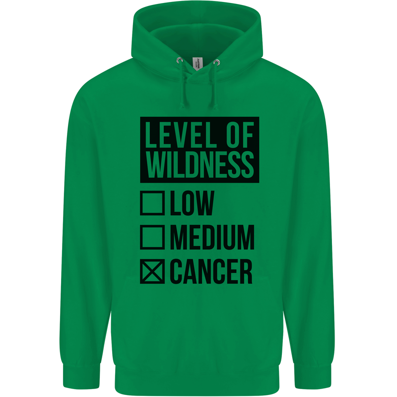 Levels of Wildness Cancer Mens 80% Cotton Hoodie Irish Green
