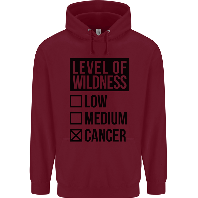 Levels of Wildness Cancer Mens 80% Cotton Hoodie Maroon