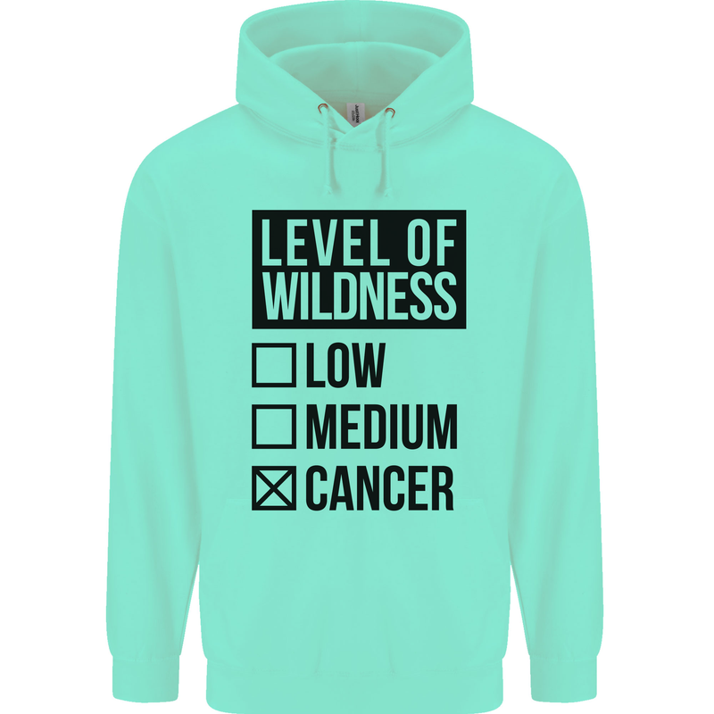 Levels of Wildness Cancer Mens 80% Cotton Hoodie Peppermint