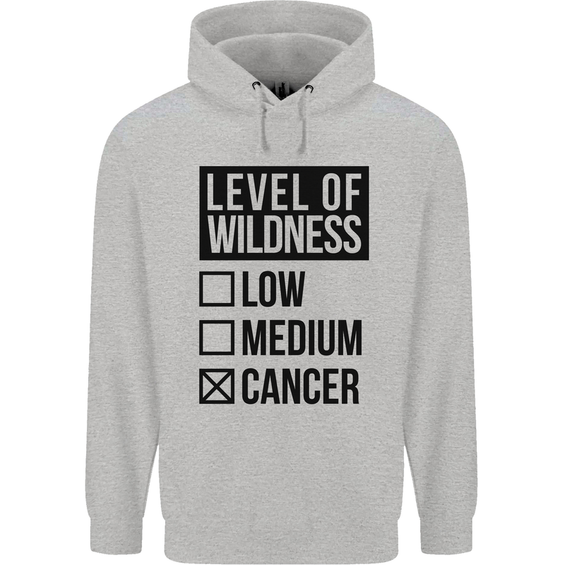 Levels of Wildness Cancer Mens 80% Cotton Hoodie Sports Grey