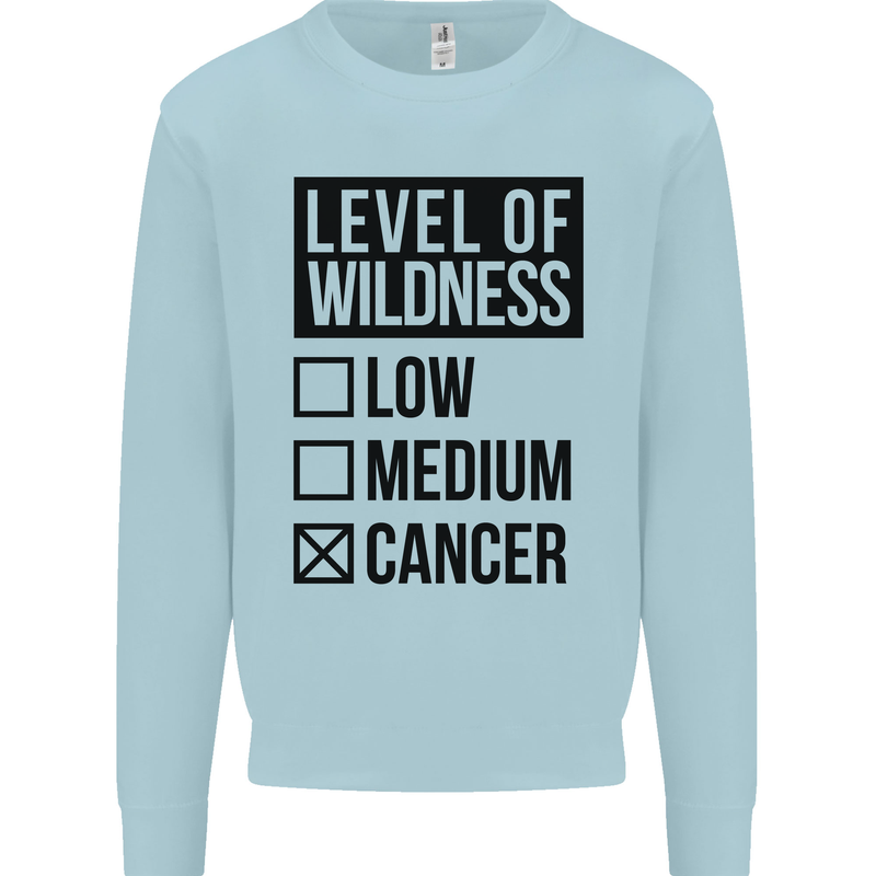 Levels of Wildness Cancer Mens Sweatshirt Jumper Light Blue